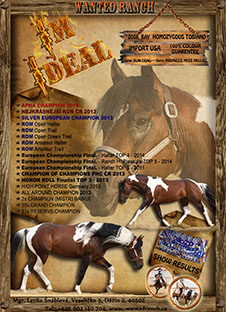 IM IDEAL Wanted Ranch