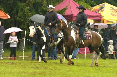 Krajský den koně 1. 6. 2013 v Lomnici nad Popelkou