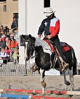 Mezinárodní výstava koní Kůň 2010 v Lysé nad Labem