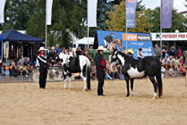 Mezinárodní výstava koní Kůň 2010 v Lysé nad Labem