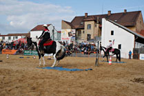 Mezinárodní výstava koní Kůň 2010 v Lysé nad Labem