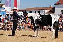 Mezinárodní výstava koní Kůň 2010 v Lysé nad Labem