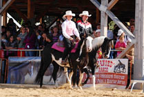 Mezinárodní výstava koní Kůň 2010 v Lysé nad Labem