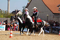 Mezinárodní výstava koní Kůň 2010 v Lysé nad Labem