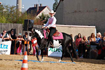 Mezinárodní výstava koní Kůň 2010 v Lysé nad Labem