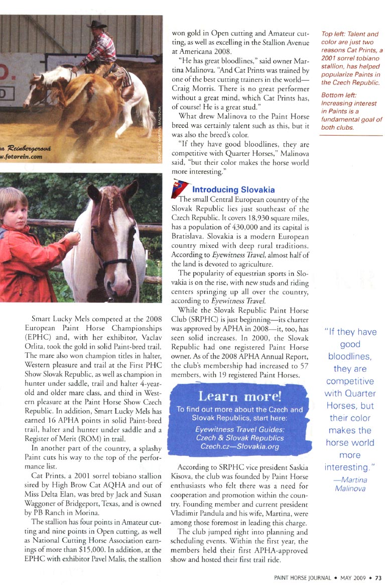 Paint Horse Journal str. 73