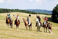 Western Sport Clubu Hořice