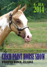 CZECH PAINT HORSE SHOW