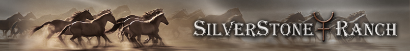 http://www.silverstone-ranch.eu/